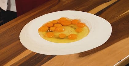 El volcán actúa como una barrera de contención mecánica para que los huevos no se escapen por los costados