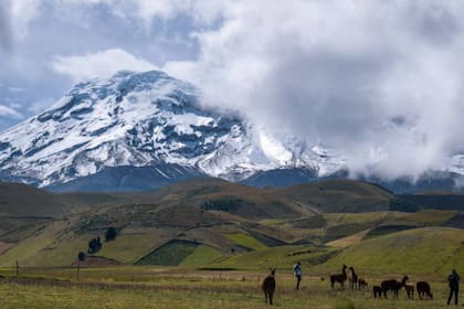 El volcán Chimborazo se encuentra en un área de fauna protegida