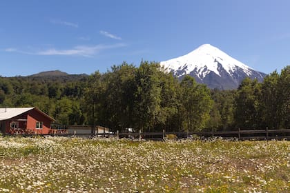 El volcán Osorno es la estrella de la región.