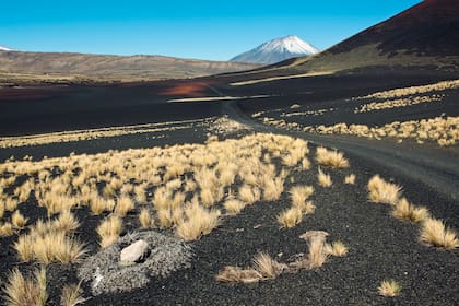 El volcán Payún Liso, uno de los 800 que gestaron esta reserva de lava y pampas negras en el sur mendocino.