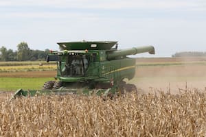 Cadena del maíz. Mucho más que una cosecha récord