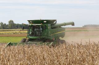Cadena del maíz. Mucho más que una cosecha récord