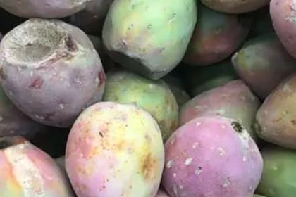 El xoconostle es una fruta en la que prima el sabor agrio (Foto Unsplash)
