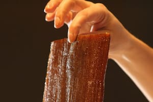 El yacaratiá es la única madera comestible