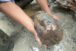 Monedas de oro, termas y esculturas milenarias: el hallazgo en un centro de culto romano que dejó a todos atónitos