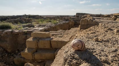 El yacimiento de Artezian, en Crimea, es uno de los más importantes en la región por su cantidad de túmulos funerarios y ser el epicentro del antiguo Reino del Bósforo