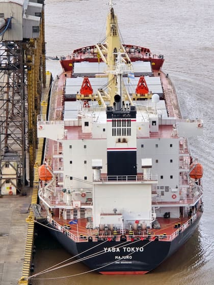 El Yasa Tokyo varado en el puerto de San Pedro.