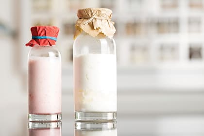 El yogur es un sobreviviente actual de las prácticas ancestrales de la fermentación