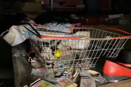 El youtuber filmó carritos y canastas de supermercado que parecen haber sido dejados de repente, incluso con compras en su interior