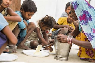 Alimentos: fertilizantes que salvan vidas