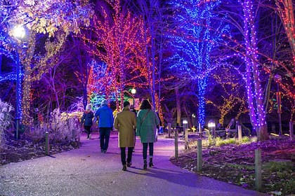 El ZooLights se inaugura este viernes 15 de noviembre y permanecerá abierto hasta el 5 de enero