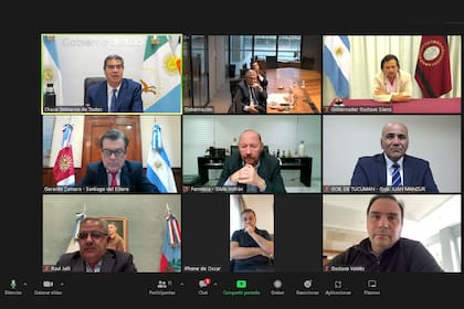 El zoom con los gobernadores del Norte Grande del que participó el riojano Quintela