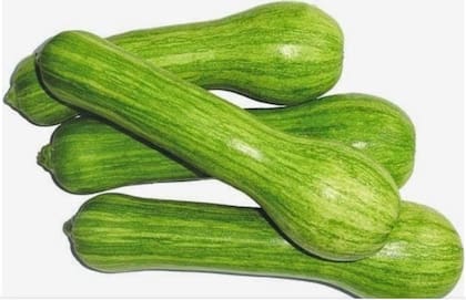 El zucchini, una verdura que le otorga vitaminas y minerales a los gatos