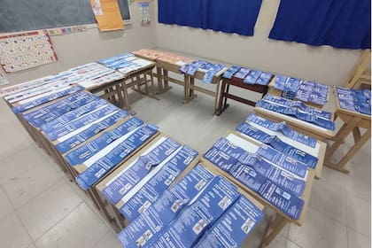 Elecciones en Formosa: en el cuarto oscuro hubo 64 boletas encabezadas por Gildo Insfrán, gracias a la Ley de Lemas