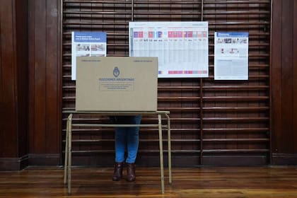 Elecciones legislativas 2025, dónde ver los resultados