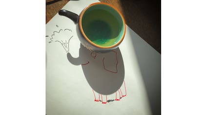 Elefante y sombra de la taza de té