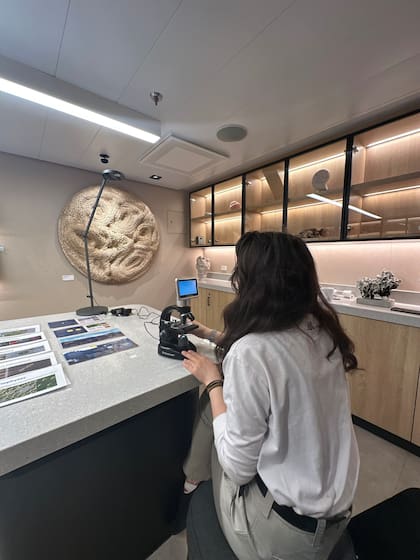 "Eleg a las ballenas porque son ms que simples criaturas impresionantes: son especies clave y narradoras de historias del ocano. Estudiarlas permite comprender procesos que van desde la evolucin hasta la acstica submarina, desde la conservacin hasta el cambio climtico