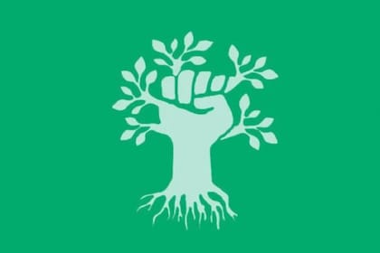 Elegí la primera imagen que capte tu vista