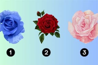 Test visual: elegí una rosa y descubrí quién sería tu pareja ideal