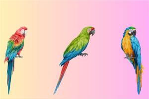 Elegí uno de los tres loros para completar el desafío