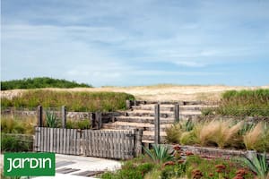 Cuatro plantas que prosperan junto al mar y demuestran que un jardín costero también puede florecer
