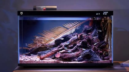 Elegir ubicaciones adecuadas, evitando dormitorios o espacios de descanso profundo.