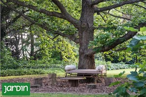 11 ideas simples para crear rincones de descanso bajo un árbol