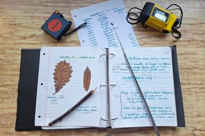 Elementos necesarios para mediciones y reconocimiento de árboles.