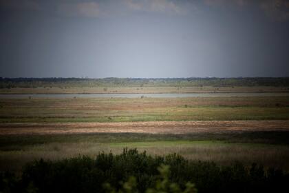 Elevarán a esa categoría de protección ambiental el área que integran las reservas Otamendi y Río Luján; allí viven 309 especies de aves y 49 de mamíferos