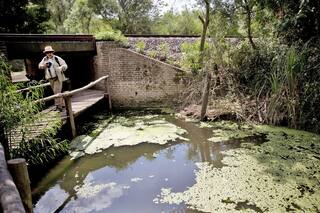 Crearán un parque nacional a minutos del Obelisco