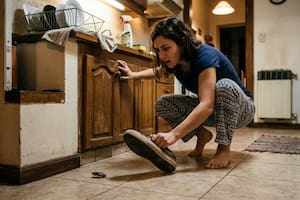 Adiós a las cucarachas: la guía definitiva sin químicos