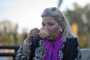 Elisa Carrió busca promover el recambio general en su partido
