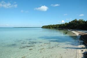 Elliott Key, la isla de Los Cayos de Florida que es perfecta para hacer esnórquel