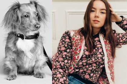 ELOISE. Alexandra de Hannover, la hija menor de Carolina de Mónaco y Ernst de Hannover, tiene adoración por esta mini Dachshund que comparte con su novio, Ben-Sylvester Strautmann (están juntos desde 2016) y que tiene cuenta propia en Instagram bajo el nombre de Eloise Von Lexington. Coqueta, en 2022 la perra “posó” para Hedi Slimane en un shooting de Celine.