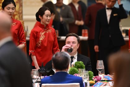 Elon Musk asiste a un banquete de Estado durante en el Gran Palacio del Pueblo, en Pekín, el 14 de mayo de 2026