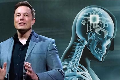 Elon Musk es reconocido por impulsar la industria de la IA en el mundo (Foto: El Español)