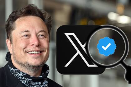 Elon Musk no comparte datos sobre X desde que compró la compañía, pero en octubre de 2022, la red social superaba los 500 millones de s mensuales activos y los 215 millones diarios
