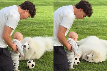 Emilia Ferrero compartió el video más tierno de Julián Álvarez con Amadeo y Tarzán (Foto: Captura de video / Instagram @emiliafferrero)