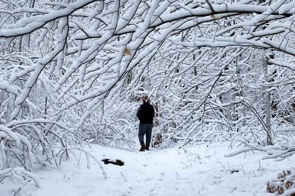 Emiliano en su casa. Viven en medio del bosque en Hebron.