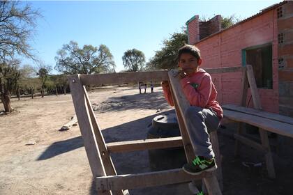 Emiliano sabe manejar la zorra (carro tirado por un burro) con la que busca agua y junta leña.