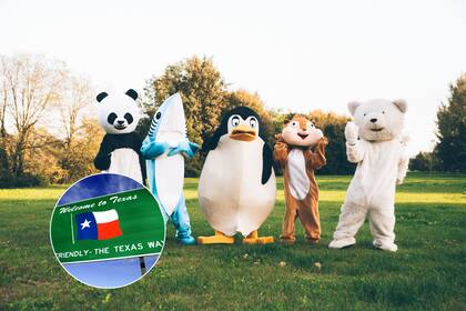 Emitir ladridos, maullidos o silbidos que imiten a animales podría ser sancionado en las escuelas de Texas según la propuesta de ley F.U.R.R.I.E.S.