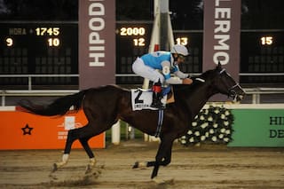 El caballo que perdió un ojo a poco de nacer gana corriendo con el corazón