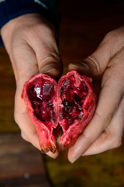 Empanada veggie de Pico, donde los colores están en relación con el relleno