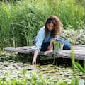 Cómo empezar un jardín desde cero