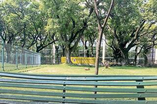 Vandalizaron las placas colocadas en bancos de plazas para recordar familiares