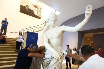 Guantes blancos y mucha expectativa en el montaje de la escultura romana, que se exhibirá por tres meses en el hall del Museo de Bellas Artes