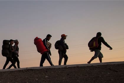 Empleados del depósito vehicular alertaron a las autoridades tras escuchar golpes rítmicos y gritos desesperados provenientes del interior del camión (foto ilustrativa)