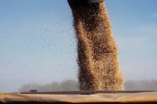 Impuesto a la riqueza: qué estrategias legales tiene el campo para defenderse