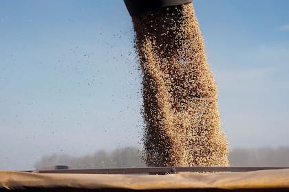 Acreedores granarios: "Hacemos un llamado a la Justicia para que no avale ni consolide la megaestafa perpetrada por Vicentin y sus directivos (menos aún la “impunidad” de éstos últimos) que lleva ya más de 5 años causando un profundo perjuicio y agonía a los verdaderos damnificados del proceso concursal”