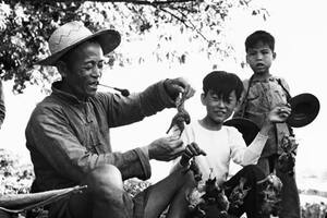 La guerra de los gorriones, la campaña más absurda de Mao, que provocó la hambruna y un desastre ecológico
